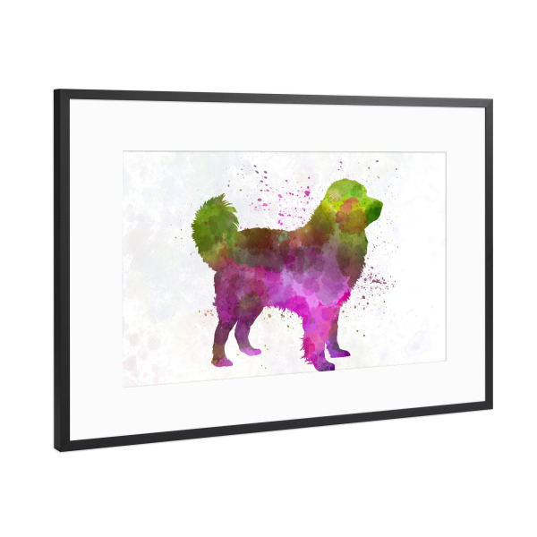 Poster mit Rahmen Schwarz (Metallic) "Tatra Shepherd Dog in watercolor" artboxONE - Tiere,Abstrakt