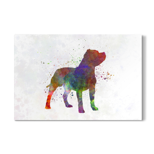 Galerie-Print "Staffordshire Bull Terrier" 30x20 cm artboxONE