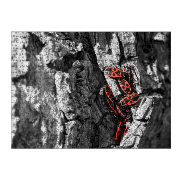 artboxONE Puzzle "Rote Käfer" artboxONE - Natur,Tiere - Käfer,Baum,Rinde,Schwarzweiß,Insekten,Insects,Blackandwhite,Tree - Bild käfer