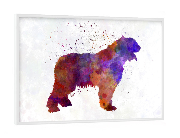 Poster mit weißem Rahmen "Romanian Mioritic Shepherd Dog" artboxONE - Tiere,Abstrakt