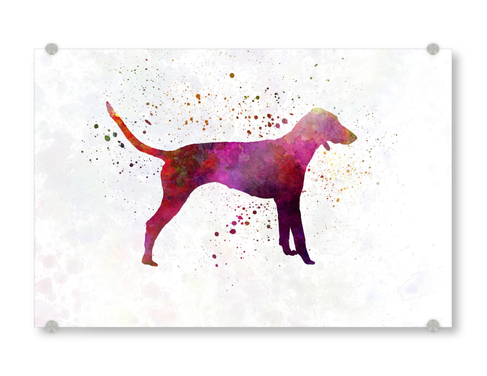 Acrylglasbild "Poitevin dog in watercolor" artboxONE - Tiere,Abstrakt - Dog,Dogs,Pet,Animal,Mammal,Watercolor,Abstract,Hund,Bunt,Colorful