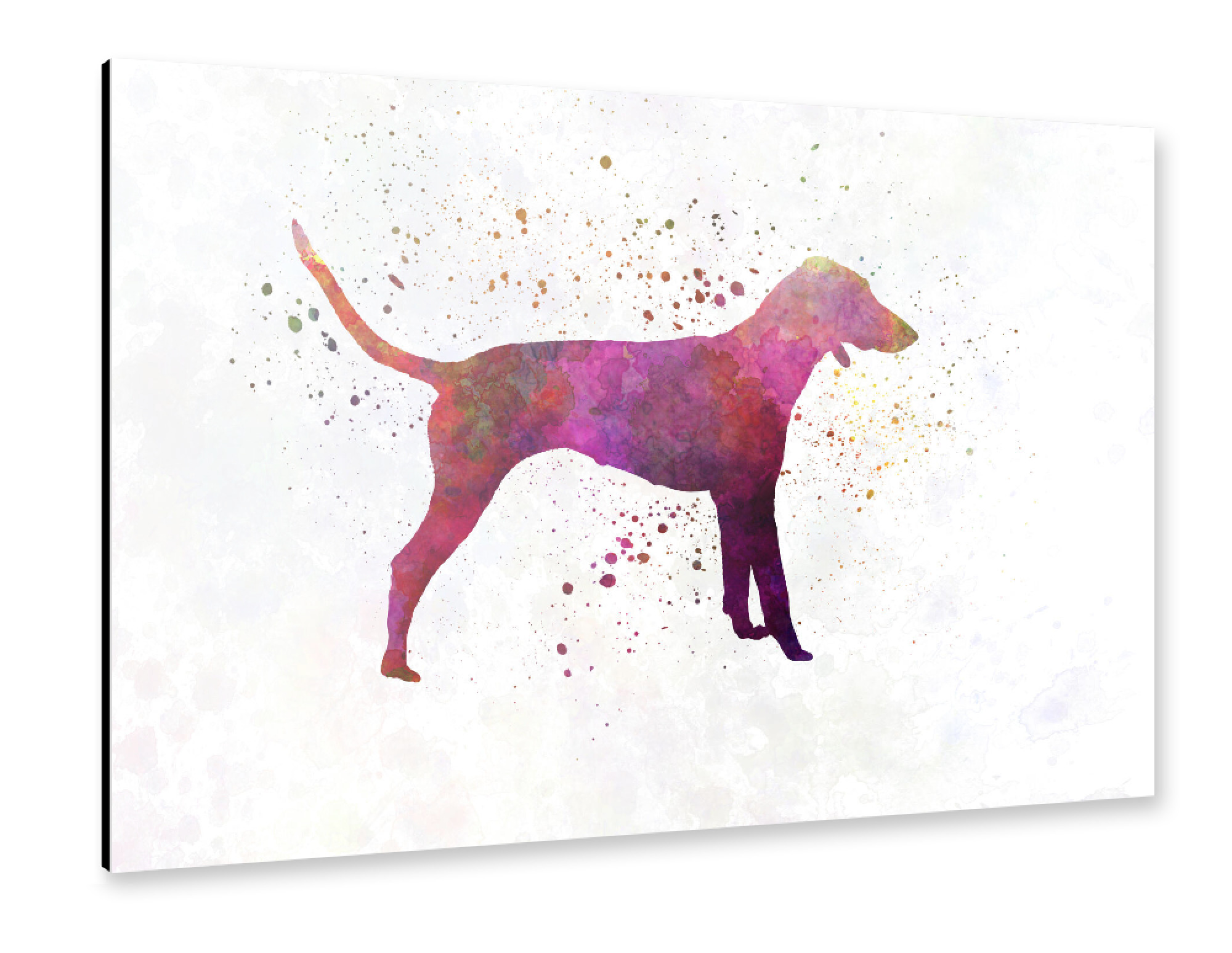 Alu-Dibond "Poitevin dog in watercolor" 75x50 cm artboxONE