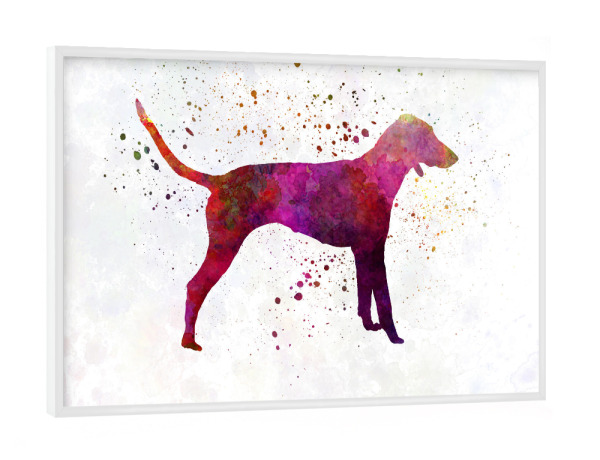 Poster mit weißem Rahmen "Poitevin dog in watercolor" artboxONE - Tiere,Abstrakt - Dog,Dogs,Pet,Animal,Mammal,Watercolor,Abstract,Hund,Bunt,Colorful