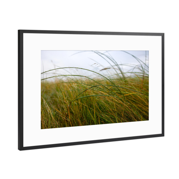 Poster mit Rahmen Schwarz (Metallic) "Morgentau am Meer" artboxONE - Natur,Reise,Reise / Strand und Meer