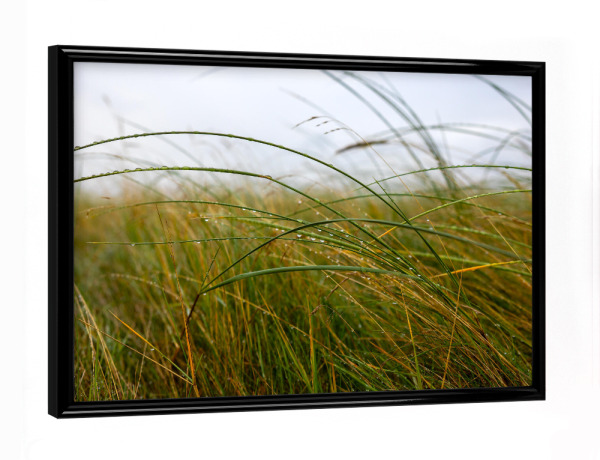 Poster mit schwarzem Rahmen "Morgentau am Meer" artboxONE - Natur,Reise,Reise / Strand und Meer