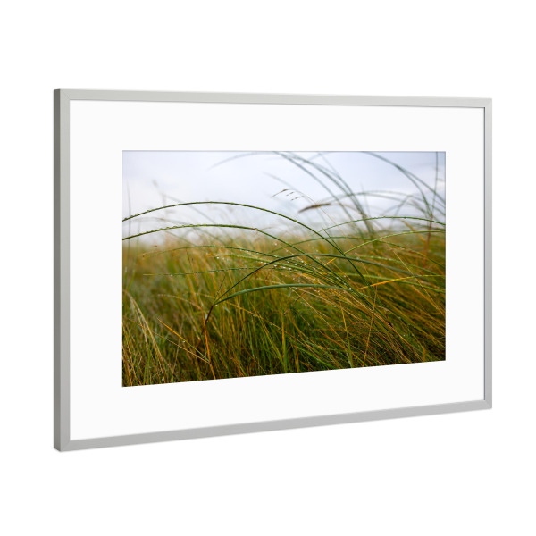 Poster mit Rahmen Silber "Morgentau am Meer" artboxONE - Natur,Reise,Reise / Strand und Meer