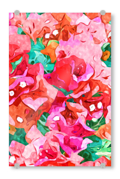 Acrylglasbild "Wild Bougainvillea" artboxONE - Floral