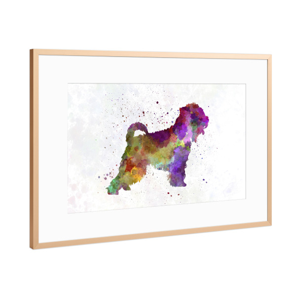 Poster mit Rahmen Kupfer "Irish Soft Coated Wheaten Terrier" artboxONE - Tiere,Abstrakt