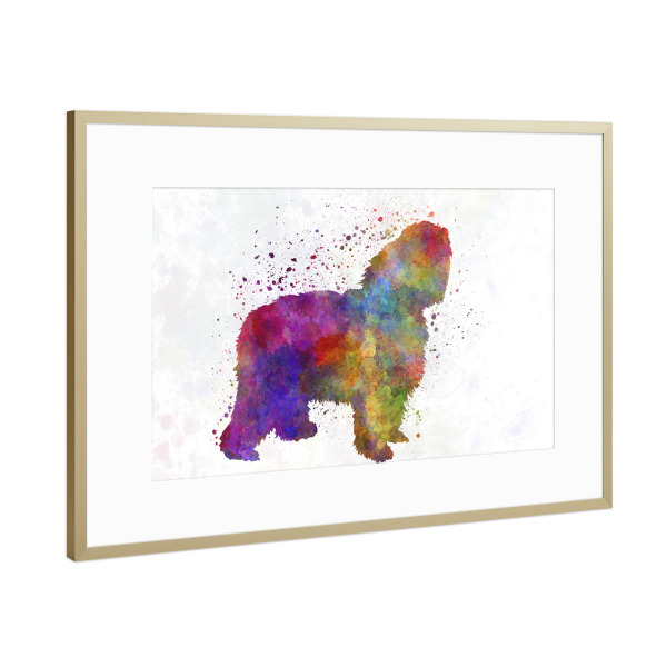Poster mit Rahmen Gold "Polish Lowland Sheepdog" artboxONE - Tiere,Abstrakt - Dog,Pet,Mammal,Watercolor,Abstract,Hund,Bunt,Colorful,Tier,Animal