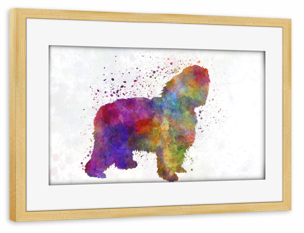 Poster mit Rahmen kiefer "Polish Lowland Sheepdog" artboxONE - Tiere,Abstrakt - Dog,Pet,Mammal,Watercolor,Abstract,Hund,Bunt,Colorful,Tier,Animal