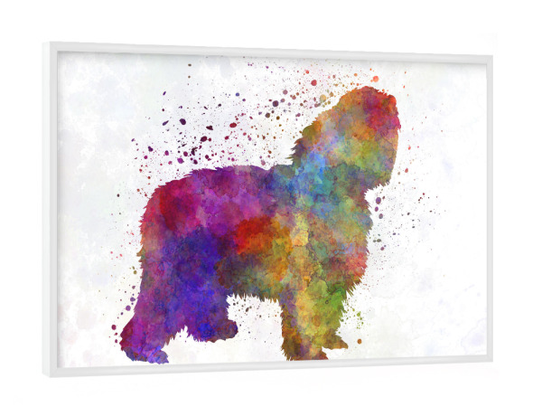Poster mit weißem Rahmen "Polish Lowland Sheepdog" artboxONE - Tiere,Abstrakt - Dog,Pet,Mammal,Watercolor,Abstract,Hund,Bunt,Colorful,Tier,Animal