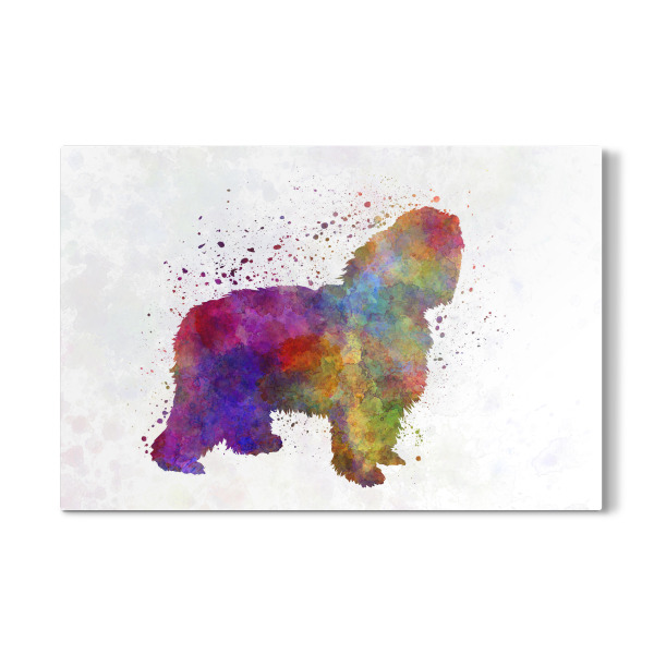 Galerie-Print "Polish Lowland Sheepdog" 30x20 cm artboxONE