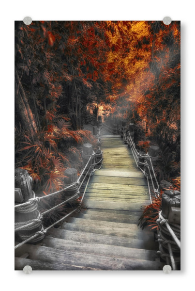 Acrylglasbild "Path In Autumn" artboxONE - Natur,Reise,Reise / Länder,Für Mama