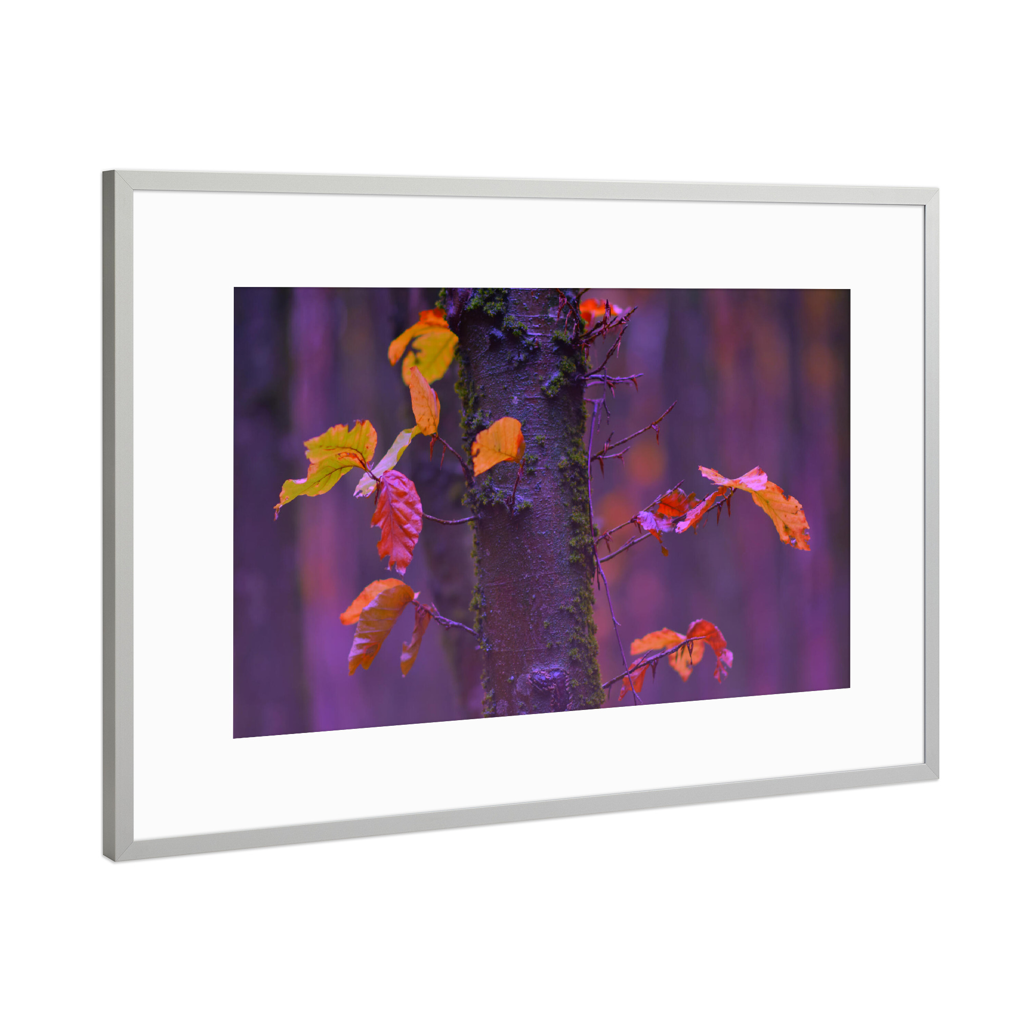 Poster mit Rahmen Silber "Bunte Herbstblätter" artboxONE - Natur