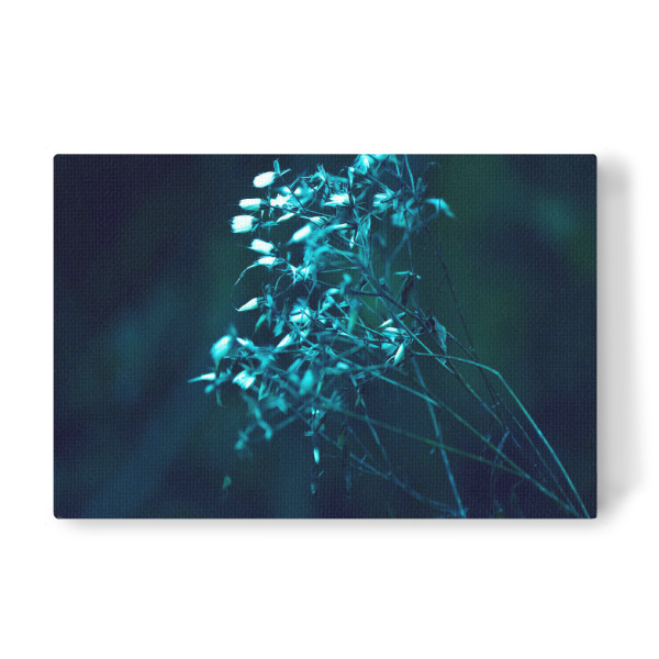 Leinwandbild "Herbstpflanze" artboxONE - Natur