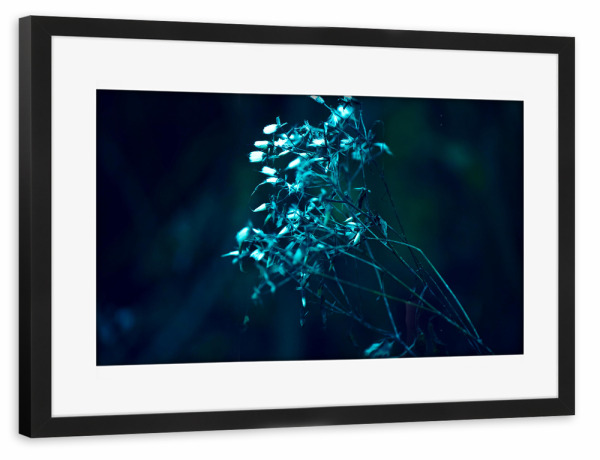 Poster mit Rahmen schwarz "Herbstpflanze" artboxONE - Natur