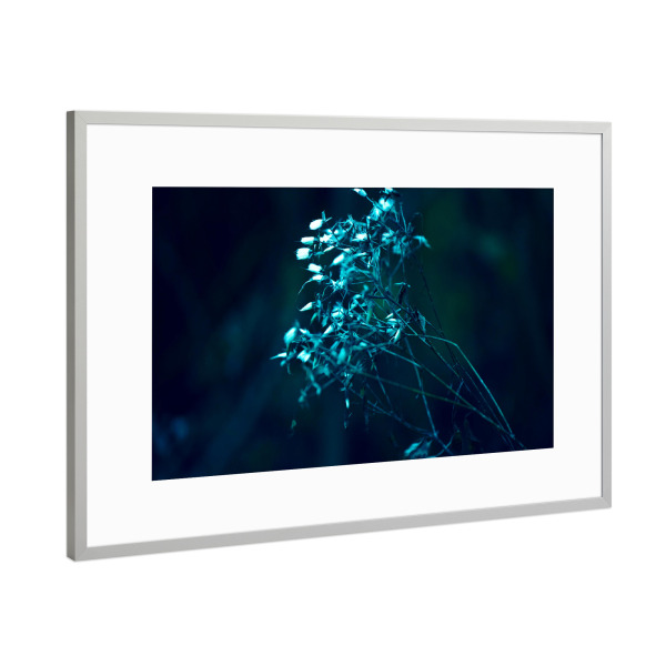 Poster mit Rahmen Silber "Herbstpflanze" artboxONE - Natur