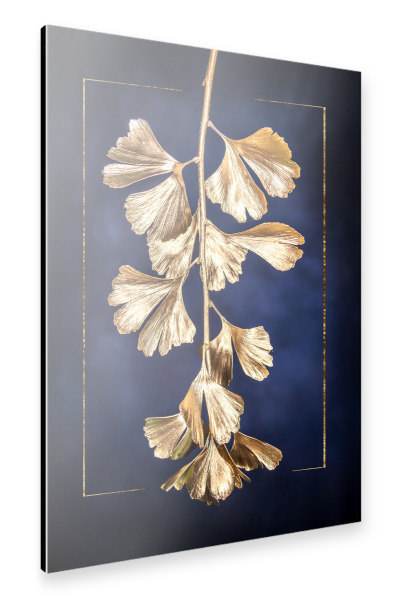Alu-Dibond "Goldener Gingko" 30x20 cm artboxONE