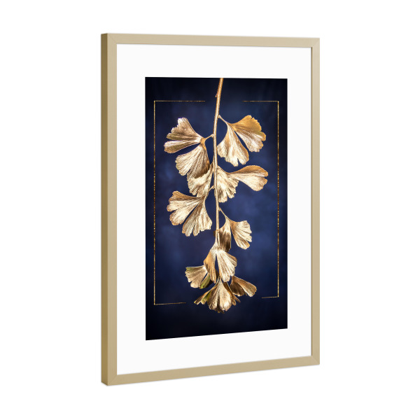 Poster mit Rahmen Gold "Goldener Gingko" artboxONE - Floral