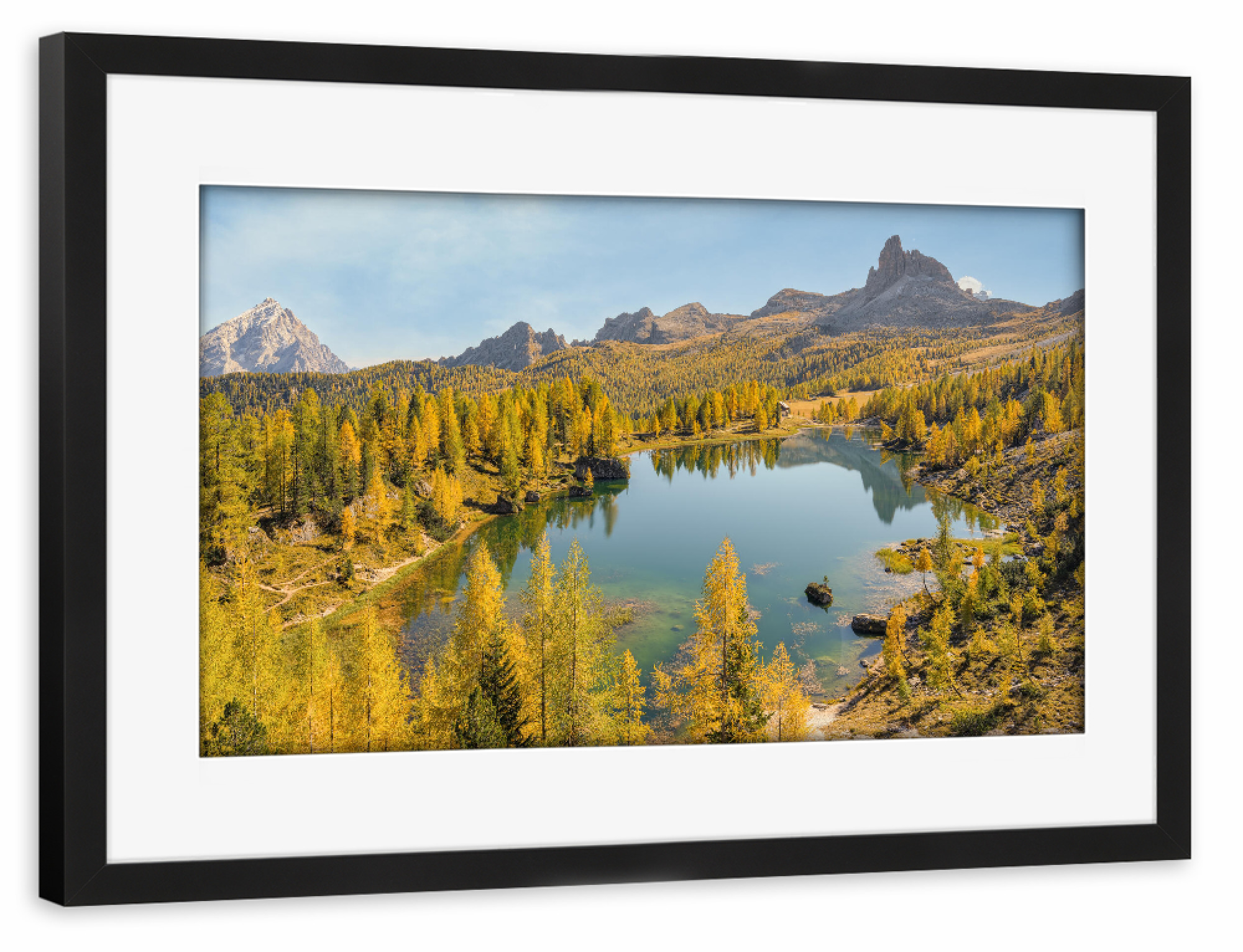 Poster mit Rahmen schwarz "Gelbe Lärchen am Lago Federa" artboxONE - Natur,Reise,Reise / Länder