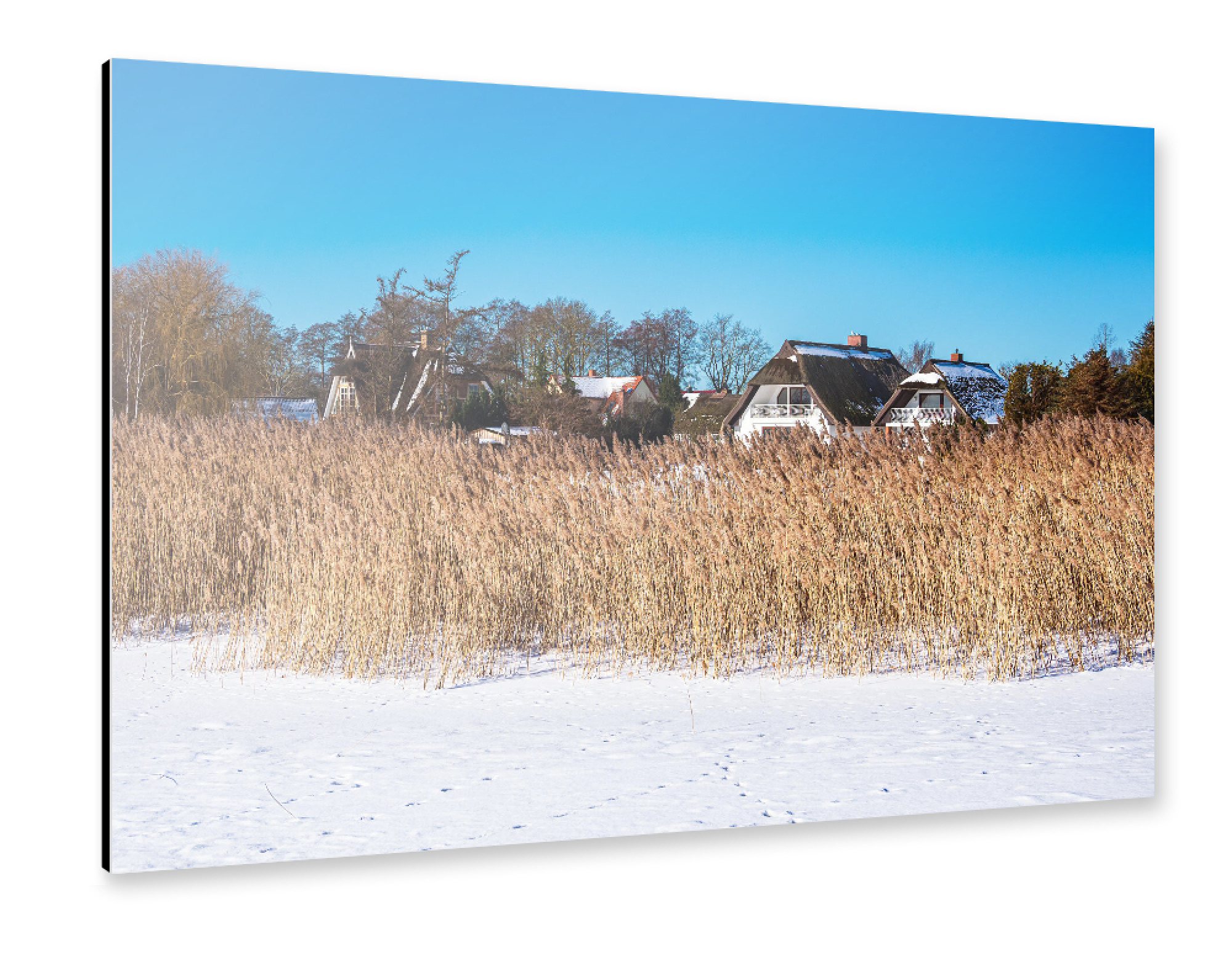 Alu-Dibond "Schnee, Schilf und Häuser" 30x20 cm artboxONE