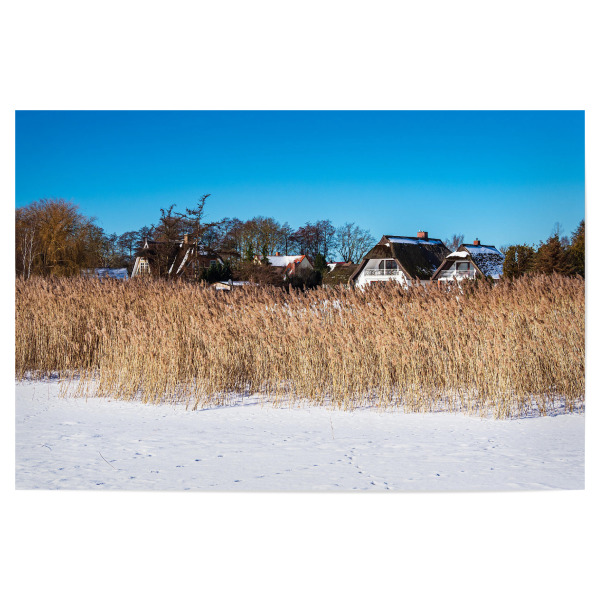 Poster "Schnee, Schilf und Häuser" artboxONE - Natur,Reise,Architektur