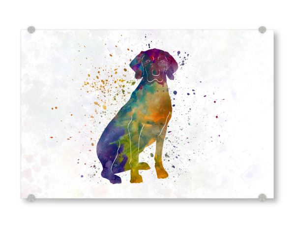 Acrylglasbild "Polish Hound in watercolor" artboxONE - Tiere,Abstrakt - Dog,Dogs,Pet,Animal,Mammal,Watercolor,Dog poster,Illustration,Abstract