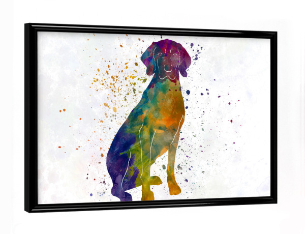 Poster mit schwarzem Rahmen "Polish Hound in watercolor" artboxONE - Tiere,Abstrakt