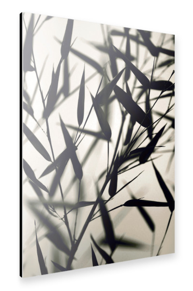 Alu-Dibond "Bambus Blätter schwarz-weiß" 30x20 cm artboxONE