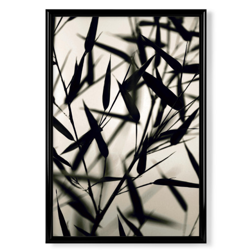 Bambus Blätter schwarz-weiß