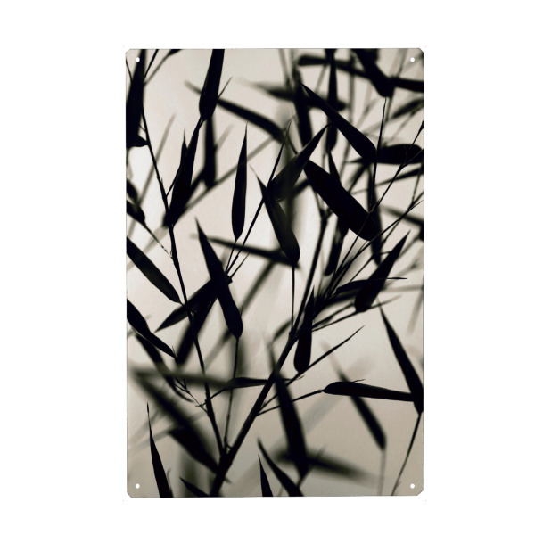 Metall Poster "Bambus Blätter schwarz-weiß" artboxONE - Natur,Floral,Abstrakt,Reise / Asien