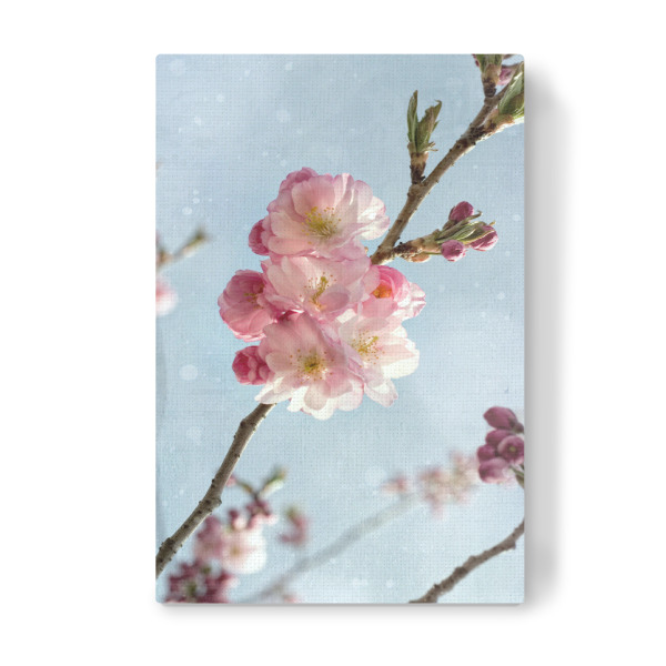 Leinwandbild "Zierkirsche" artboxONE - Natur,Floral