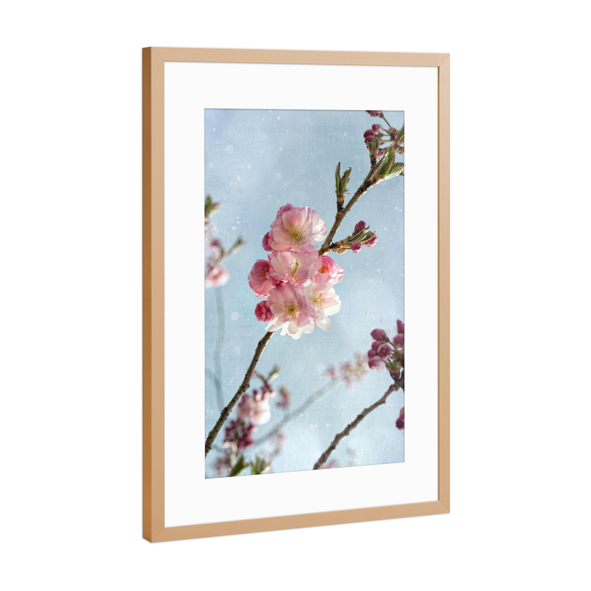 Poster mit Rahmen Kupfer "Zierkirsche" artboxONE - Natur,Floral