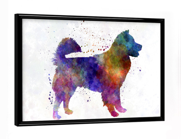Poster mit schwarzem Rahmen "Thai Bangkaew Dog in watercolor" artboxONE - Tiere,Abstrakt