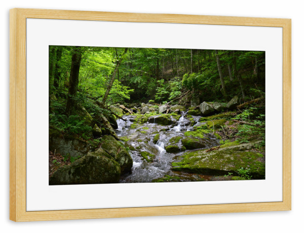 Poster mit Rahmen kiefer "Kleiner Wasserfall im Wald" artboxONE - Natur,Reise