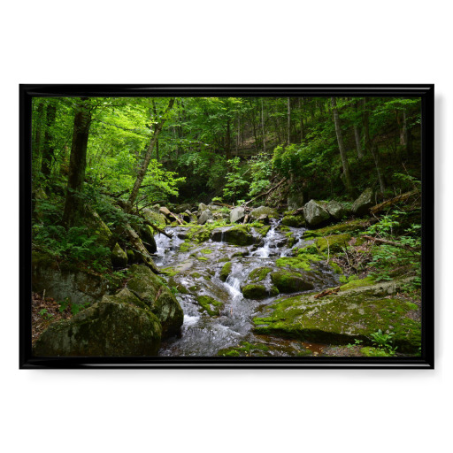 Kleiner Wasserfall im Wald