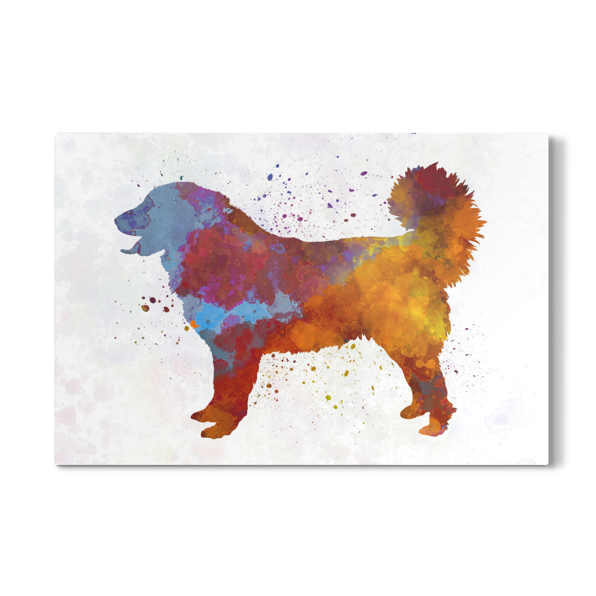 Galerie-Print "Yugoslavian Shepherd Dog" 30x20 cm artboxONE