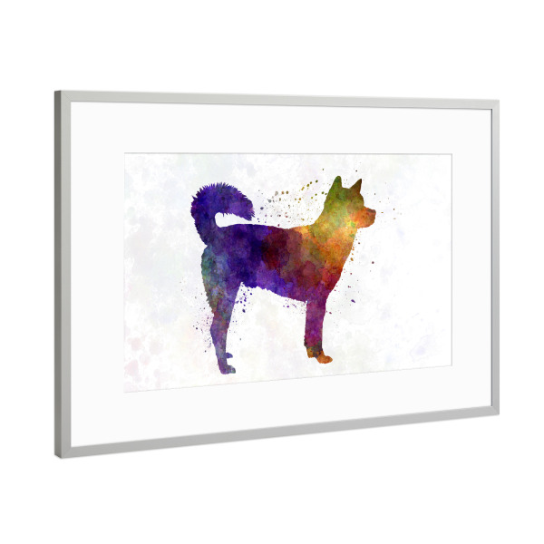 Poster mit Rahmen Silber "Kishu in watercolor" artboxONE - Tiere,Abstrakt - Dog,Pet,Mammal,Watercolor,Abstract,Abstrakt,Hund,Tier,Animal,Bunt,Colorful