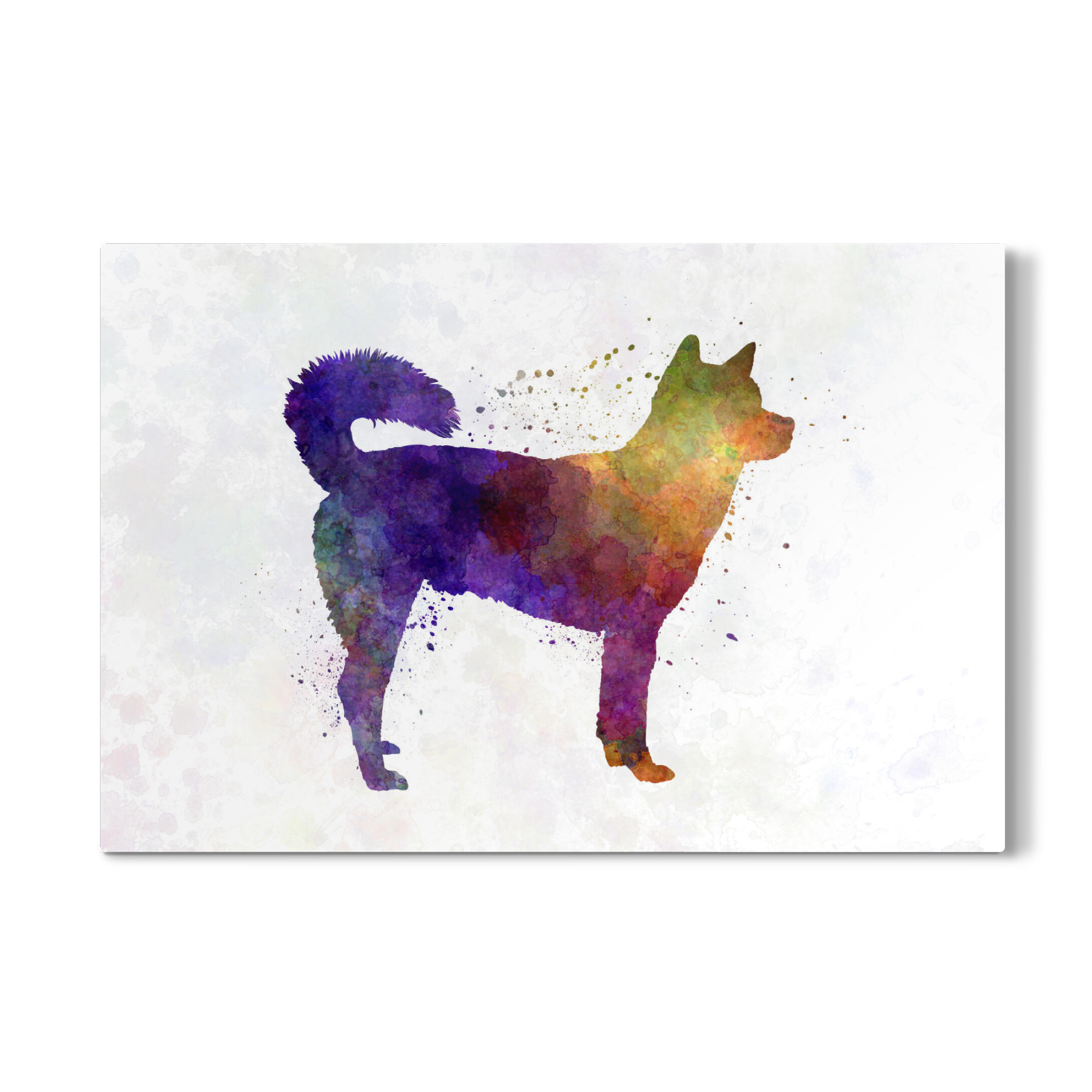 Galerie-Print "Kishu in watercolor" 30x20 cm artboxONE