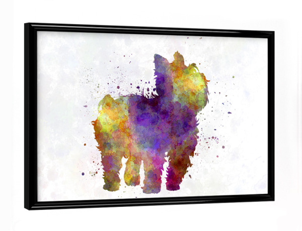 Poster mit schwarzem Rahmen "Yorkshire Terrier" artboxONE - Tiere,Abstrakt