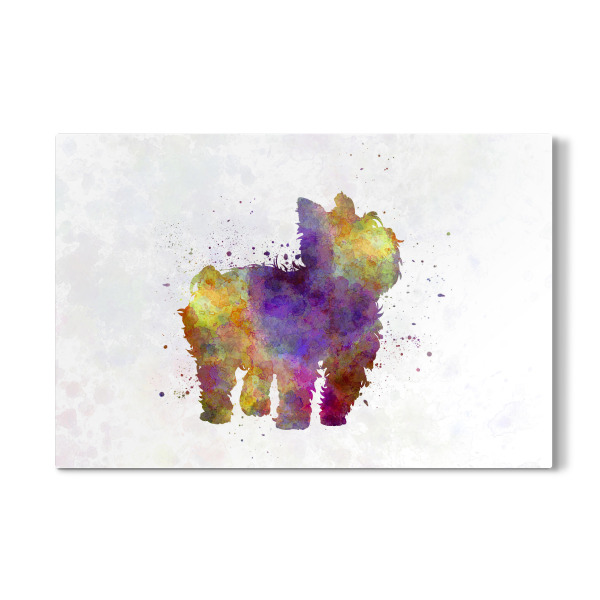 Galerie-Print "Yorkshire Terrier" 30x20 cm artboxONE