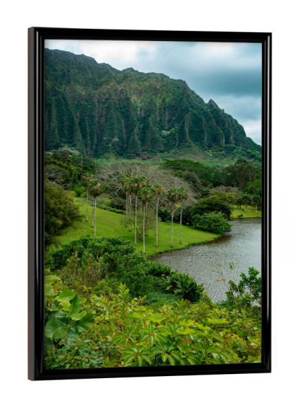 Poster mit schwarzem Rahmen "Ho’omaluhia Botanical Garden" artboxONE - Natur,Reise,Reise / Länder