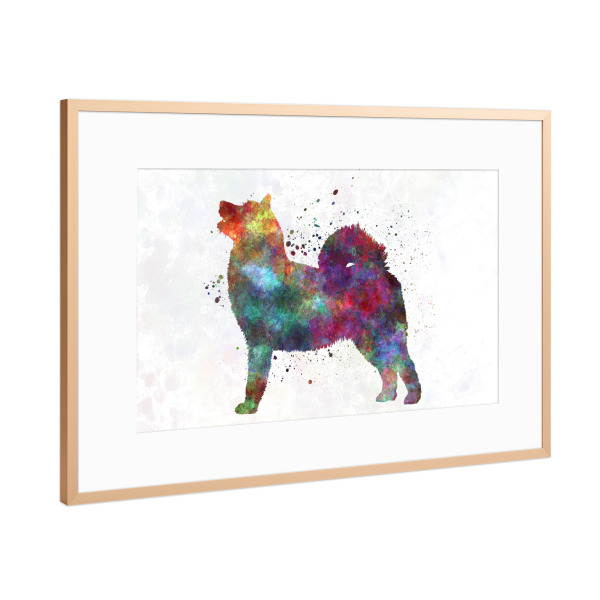 Poster mit Rahmen Kupfer "West Siberian Laika in watercolor" artboxONE - Tiere,Abstrakt