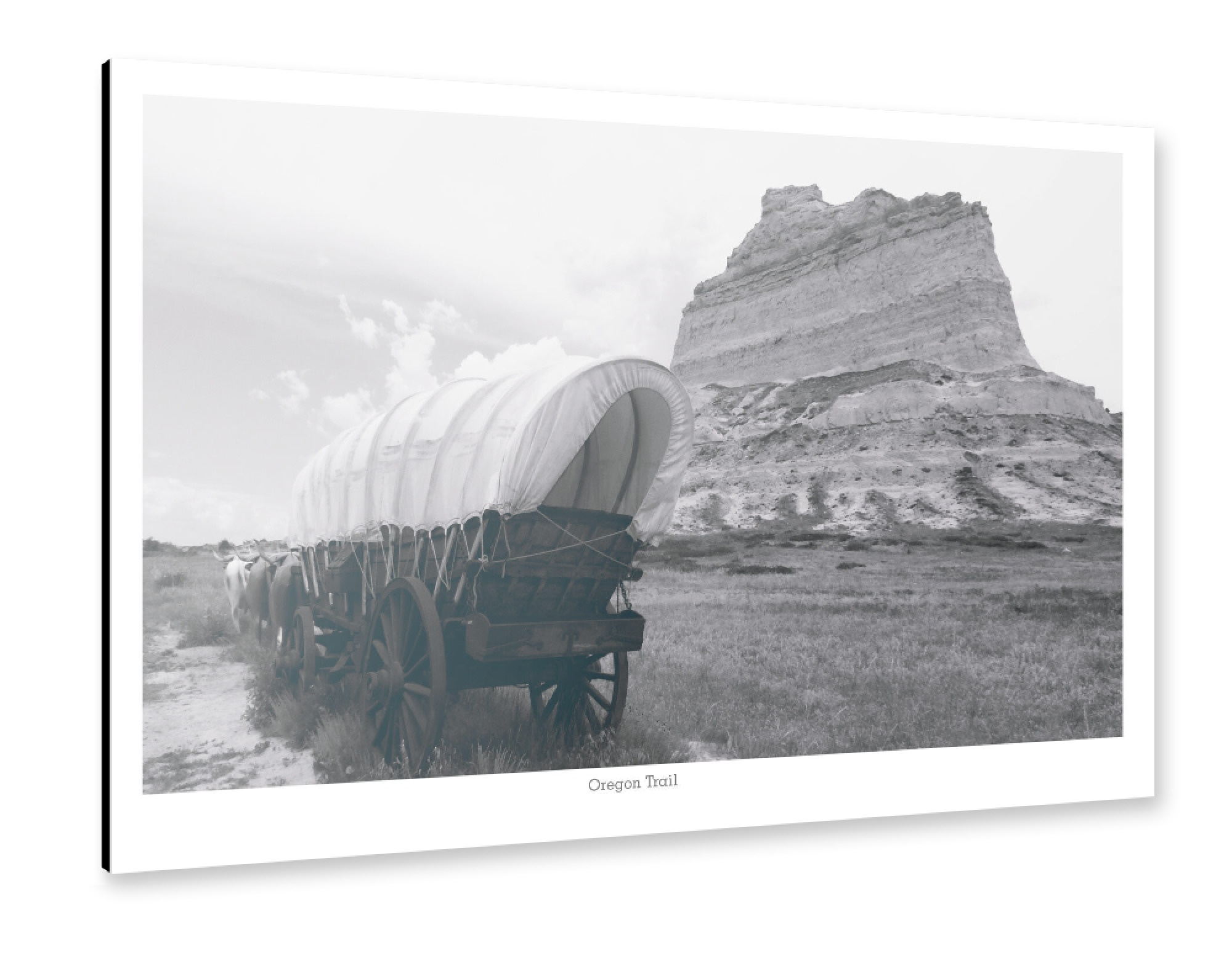Alu-Dibond "Planwagen auf Oregon Trail" 75x50 cm artboxONE