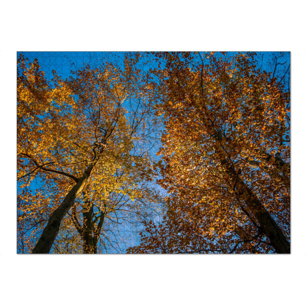 Puzzle Ravensburger "Herbstwald" artboxONE - Natur,Abstrakt