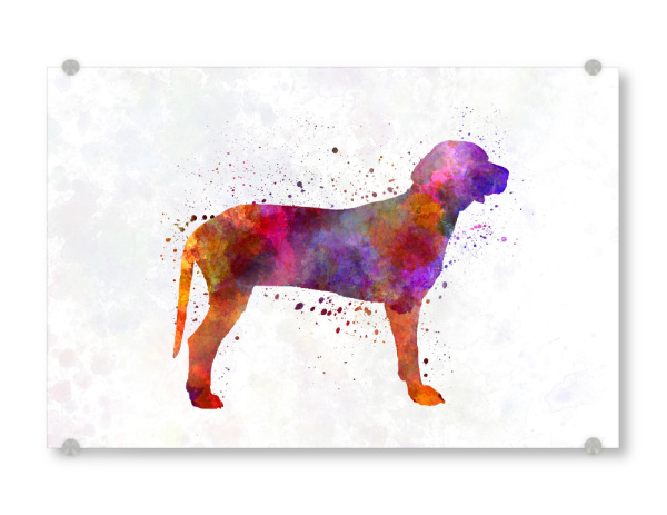 Acrylglasbild "Serbian Hound in watercolor" artboxONE - Tiere,Abstrakt - Dog,Pet,Animal,Mammal,Watercolor,Abstract,Abstrakt,Bunt,Colorful,Hund,Tier