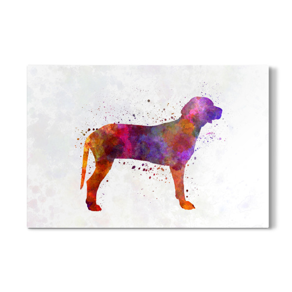 Galerie-Print "Serbian Hound in watercolor" 30x20 cm artboxONE