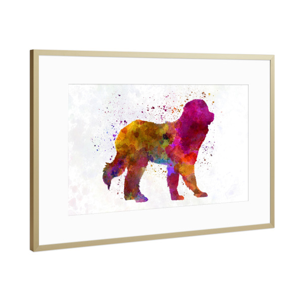 Poster mit Rahmen Gold "Pyrenean Mountain Dog" artboxONE - Tiere,Abstrakt - Dog,Dogs,Pet,Animal,Mammal,Watercolor,Abstract,Tier,Bunt,Colorful