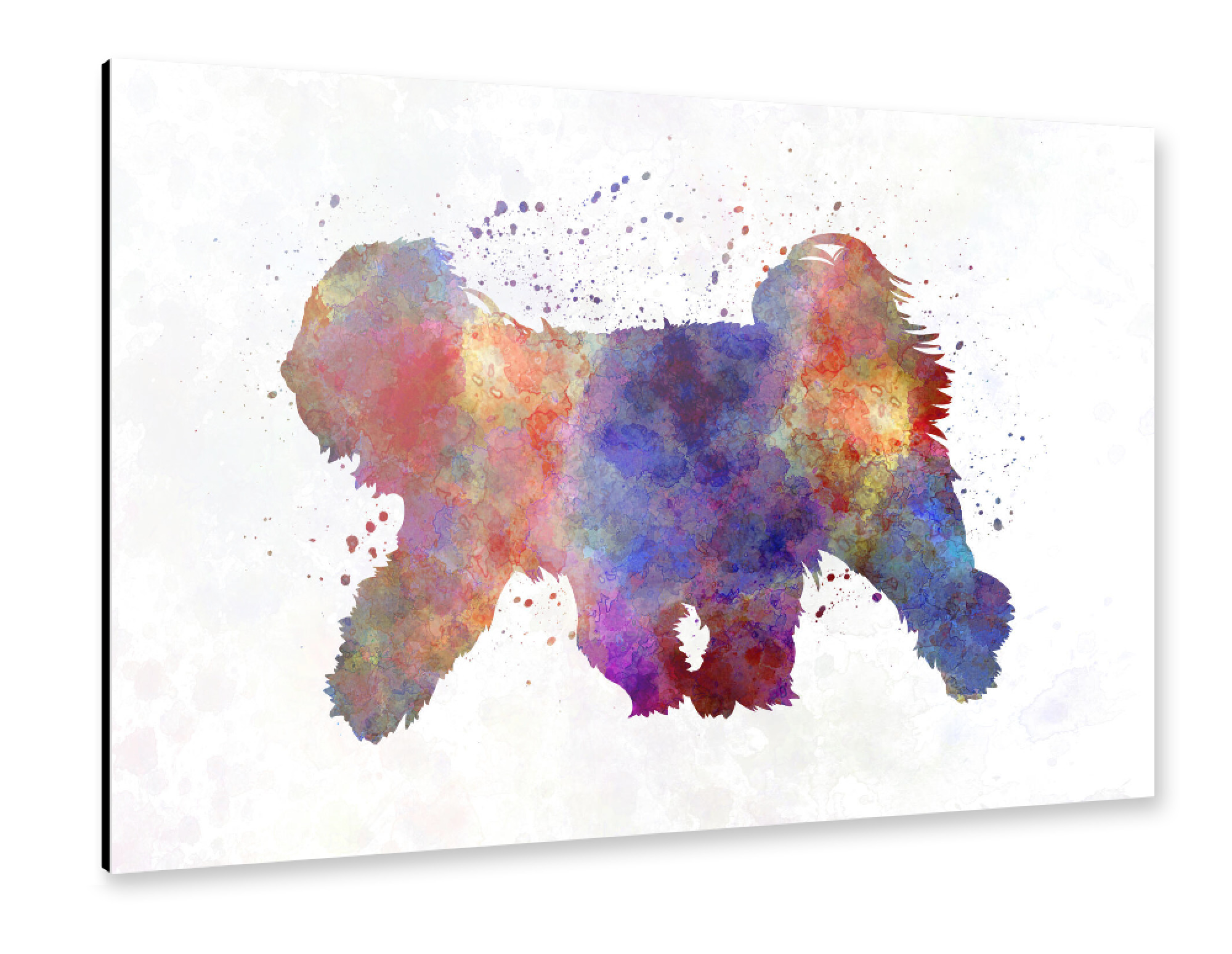 Alu-Dibond "Tibetan Terrier in watercolor" 75x50 cm artboxONE