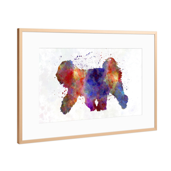 Poster mit Rahmen Kupfer "Tibetan Terrier in watercolor" artboxONE - Tiere,Abstrakt